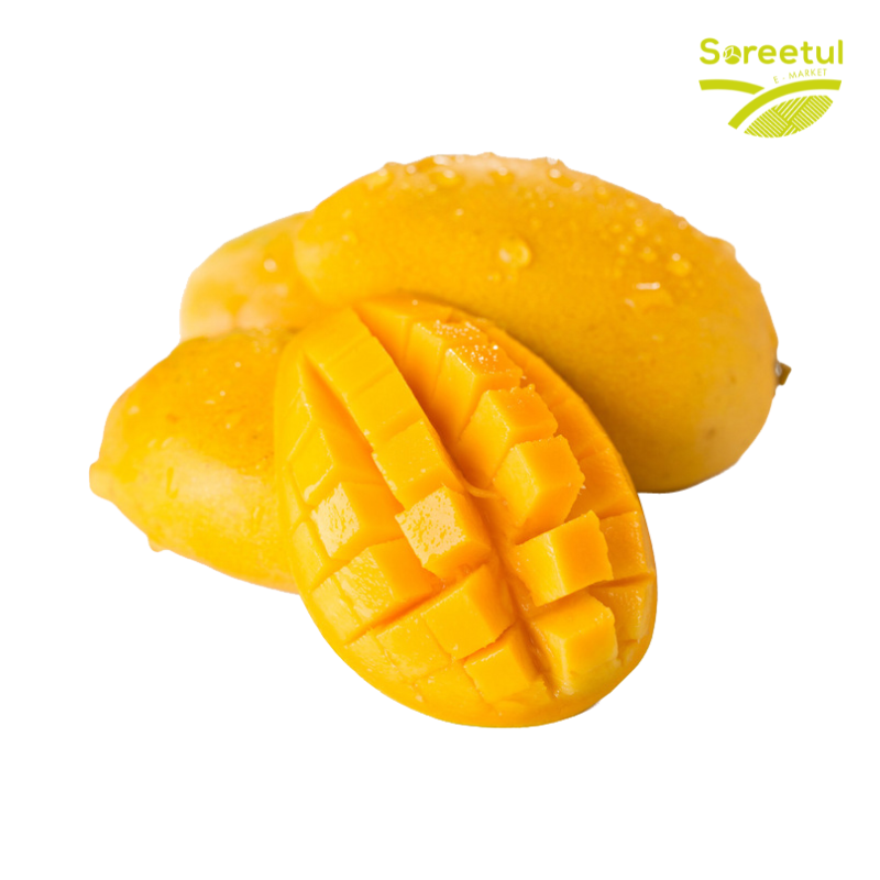 Mangue KENT