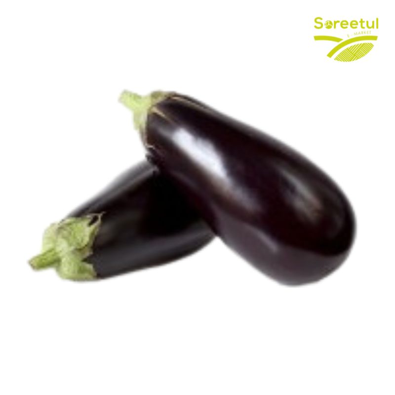 Aubergine