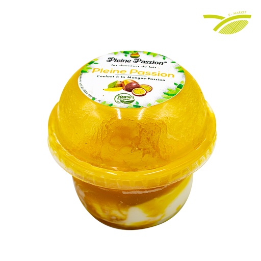 Yaourt Mangue Passion GM