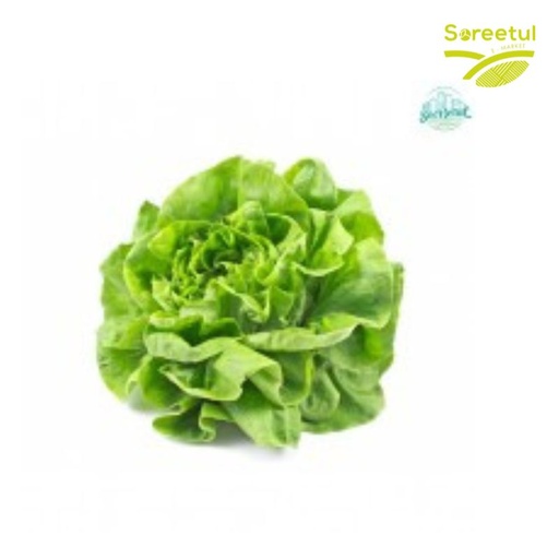 [FRUI-SALA-SELL-1BO] Salade